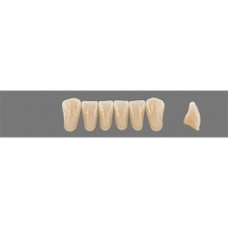 Garnitura dinti VITA MFT Anterior A1