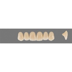 Garnitura dinti VITA MFT Anterior A3