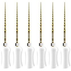 ProTaper Ultimate Manual Shaper Dentsply 31mm 6 ace