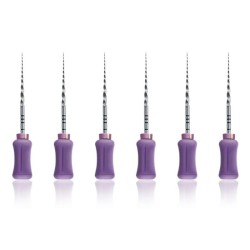 ProTaper Ultimate Manual Slider Dentsply 31mm 6 ace