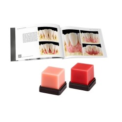 Set ceara Geo Expert Gingiva Set A. Bruguera Renfert