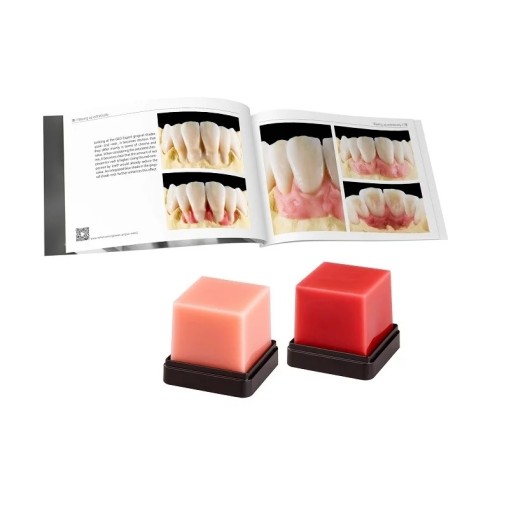 Set ceara Geo Expert Gingiva Set A. Bruguera Renfert