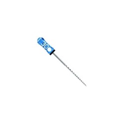 Ace H-File Colorinox 25mm Maillefer