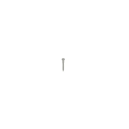 Mini-implant palatinal expander L8mm GH2.5mm 1 bucata Leone