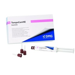 TempoCem NE Smartmix Seringa 11g DMG