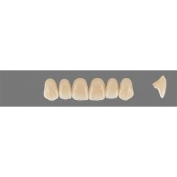 Garnitura dinti VITA MFT Anterior 0M3