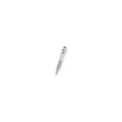 Mini-implant cu canelura D2 L8 Cap Inalt Leone