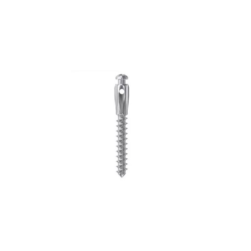 Mini-implant cu canelura D2 L8 High Head Leone