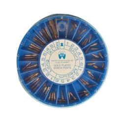 Pivoti endodontici 240 buc/cutie asortati