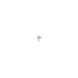 SeptoMatrix Cervical Transparent Extra-Large 50 matrici Septodont