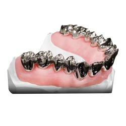 Silicon de aditie gingival SheraGingival 2 x 50ml Shera