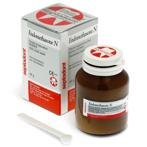 Endomethasone Pulbere 42g Septodont