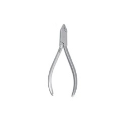 Cleste Bird Beak Falcon