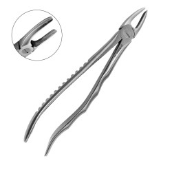 Cleste extractie EU molar si canin superior Fig.2 Dr.Mayer Precision