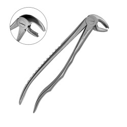 Cleste extractie EU molar inferior Fig.22 Dr.Mayer Precision