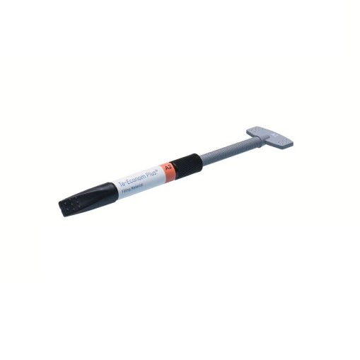 Te-Econom Plus seringa 4g Ivoclar