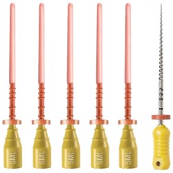 GuttaCore WaveOne Gold Small Dentsply