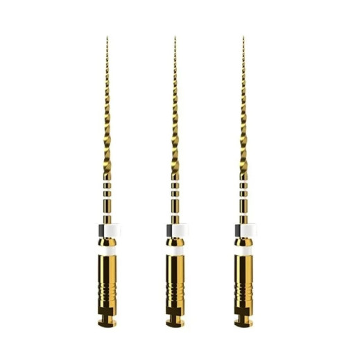 ProTaper Ultimate Shaper 31mm 6 ace Dentsply